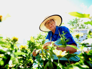 Community Garden Benefits