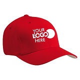 corporate-logo-cap-500x500.jpg