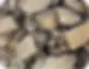 Aspect-npk_4x.webp
