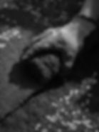 20250808_Görselİçerikler_Lawn02.png