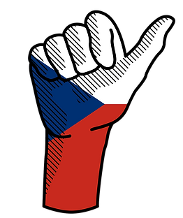Logo NSO 2 (1).png