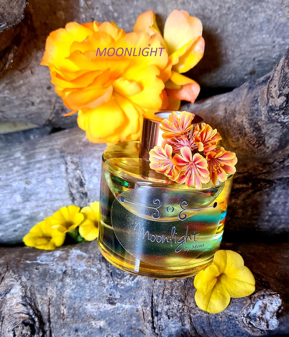 WhatsApp Image 2022-06-12 at 1.50.53 PM (4).jpeg