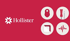 hollister_edited.jpg