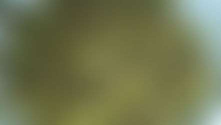 Keema Matar Sabji Calories