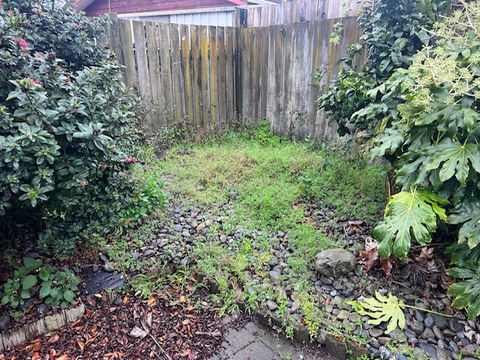 Garden Maintenance. Lawn Mowing. Hedge Trimming. Pruning. Weeding & Mulching. Kapiti Coast.