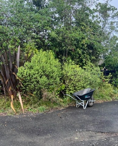 Garden Maintenance. Lawn Mowing. Hedge Trimming. Pruning. Weeding & Mulching. Kapiti Coast.
