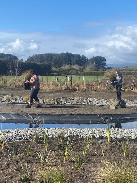Garden Maintenance. Lawn Mowing. Hedge Trimming. Pruning. Weeding & Mulching. Kapiti Coast.
