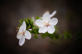 2022-03-09 133518-6.jpg