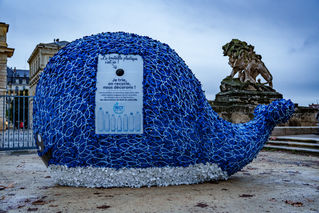 2022-12-03 175933-1.jpg