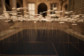 2023-06-15 160539-1.jpg