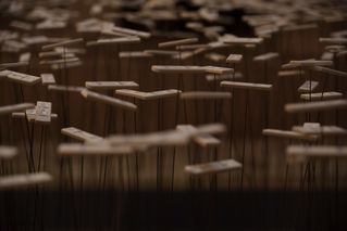 2023-06-15 160932-1.jpg