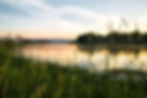 bighorn-river copy.jpg