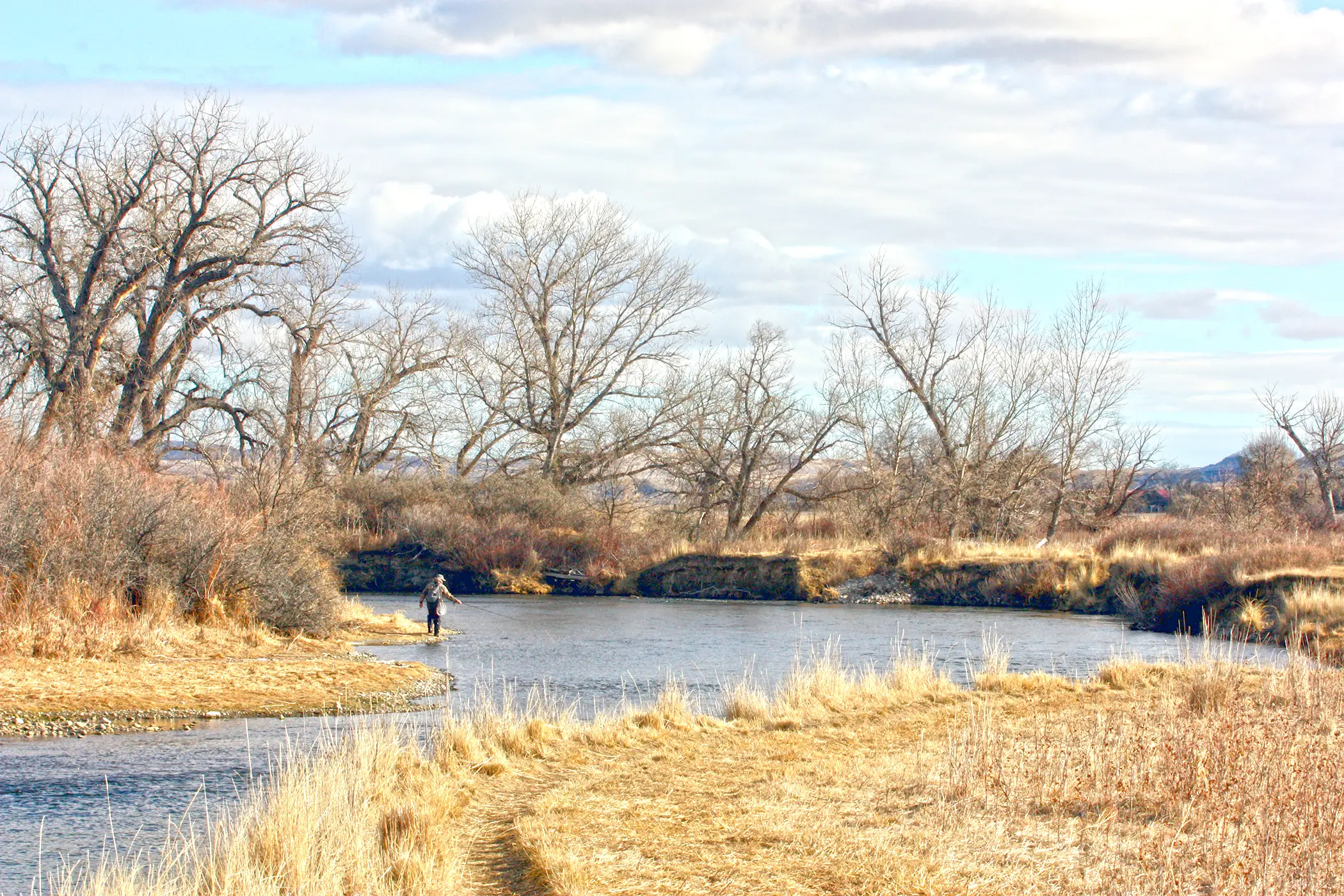 bighorn-river-mt-angler.webp