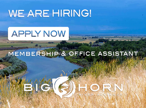 Hiring Membership & Office Assistant