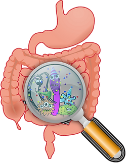 colon-irritable--des-solutions-naturelles-pour-retrouver-la-paix-interieure.png