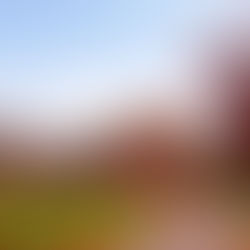 弘前レンガ倉庫美術館|CAFE & RESTAURANT BRICK(青森県弘前市)