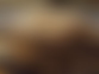 地底の森ミュージアム|富沢遺跡(宮城県仙台市)