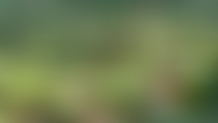 気に入った言葉 vol.1