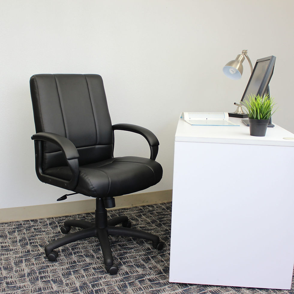 Thumbnail: Norstar Executive Mid Back Chair