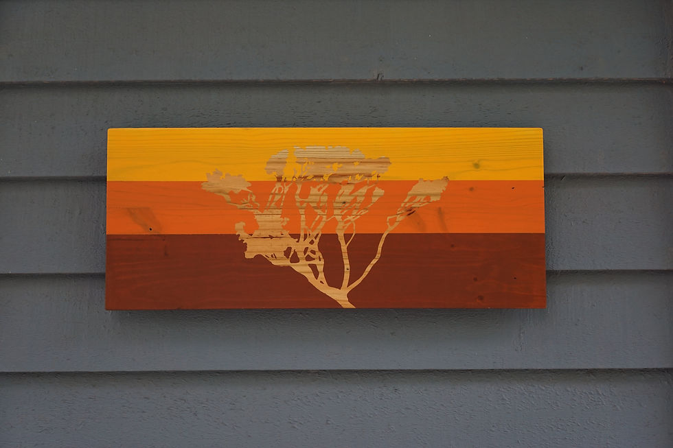 Thumbnail: SOLD / Salvo / 3 color