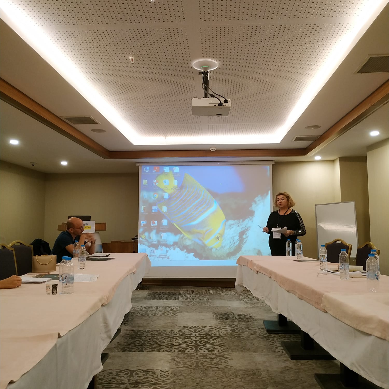 IMG-20191012-WA0567