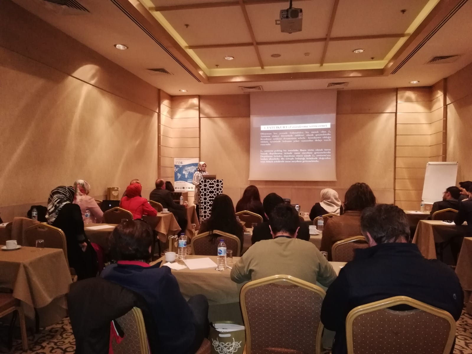 IMG-20190420-WA0446
