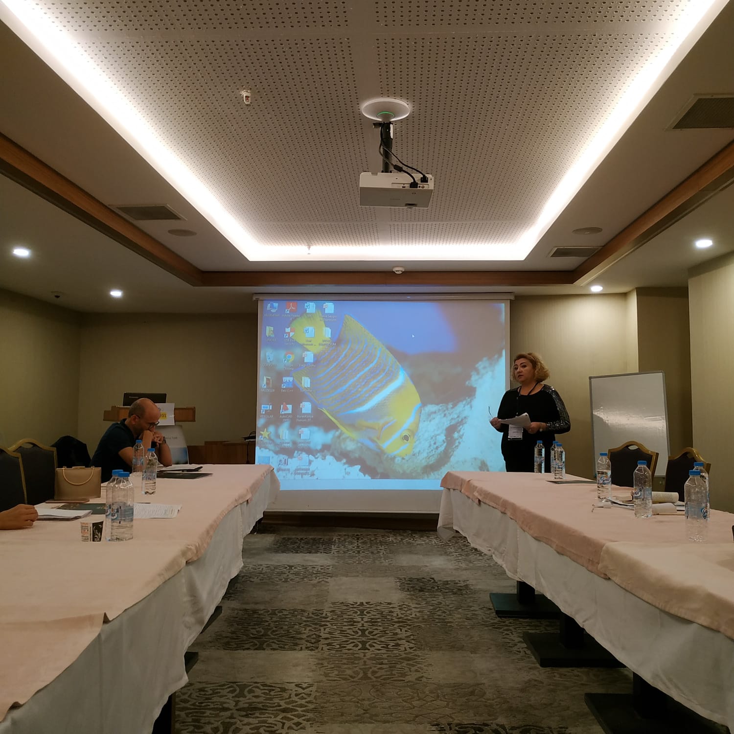 IMG-20191012-WA0579