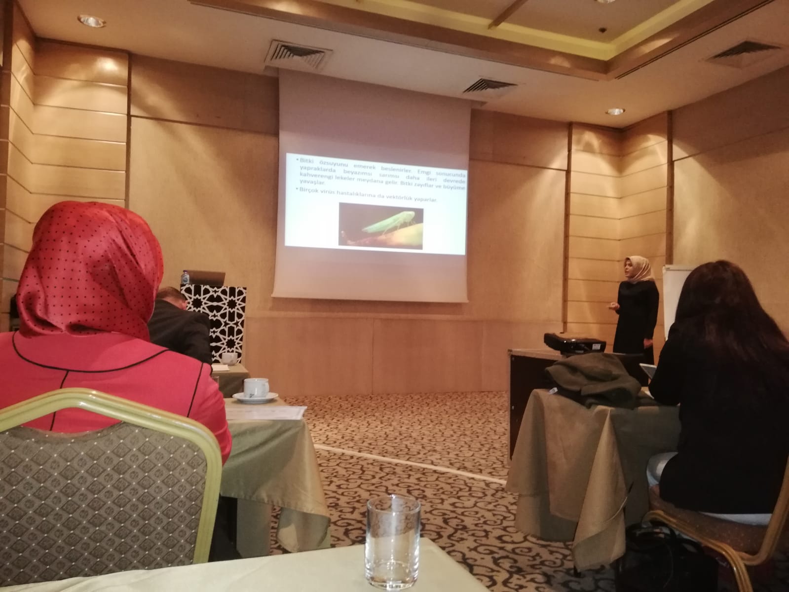 IMG-20190420-WA0385