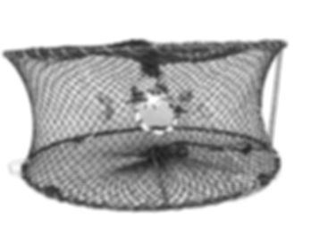 24"x12" Round Foldable Prawn Trap with 1-3/4" Stretched Mesh Size PRN59
