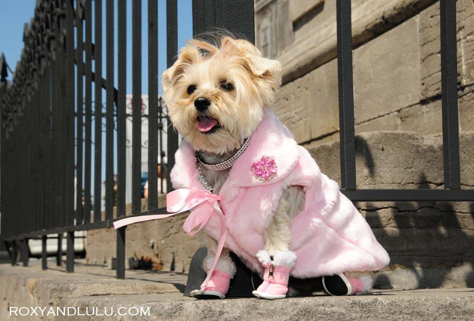 Thumbnail: Pink Faux Fur Sleeveless Dog Coat