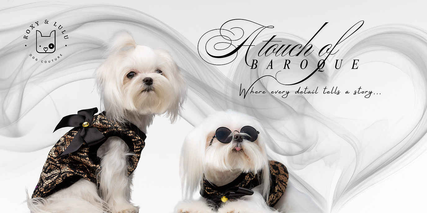 A touch of Baroque-Cover.png