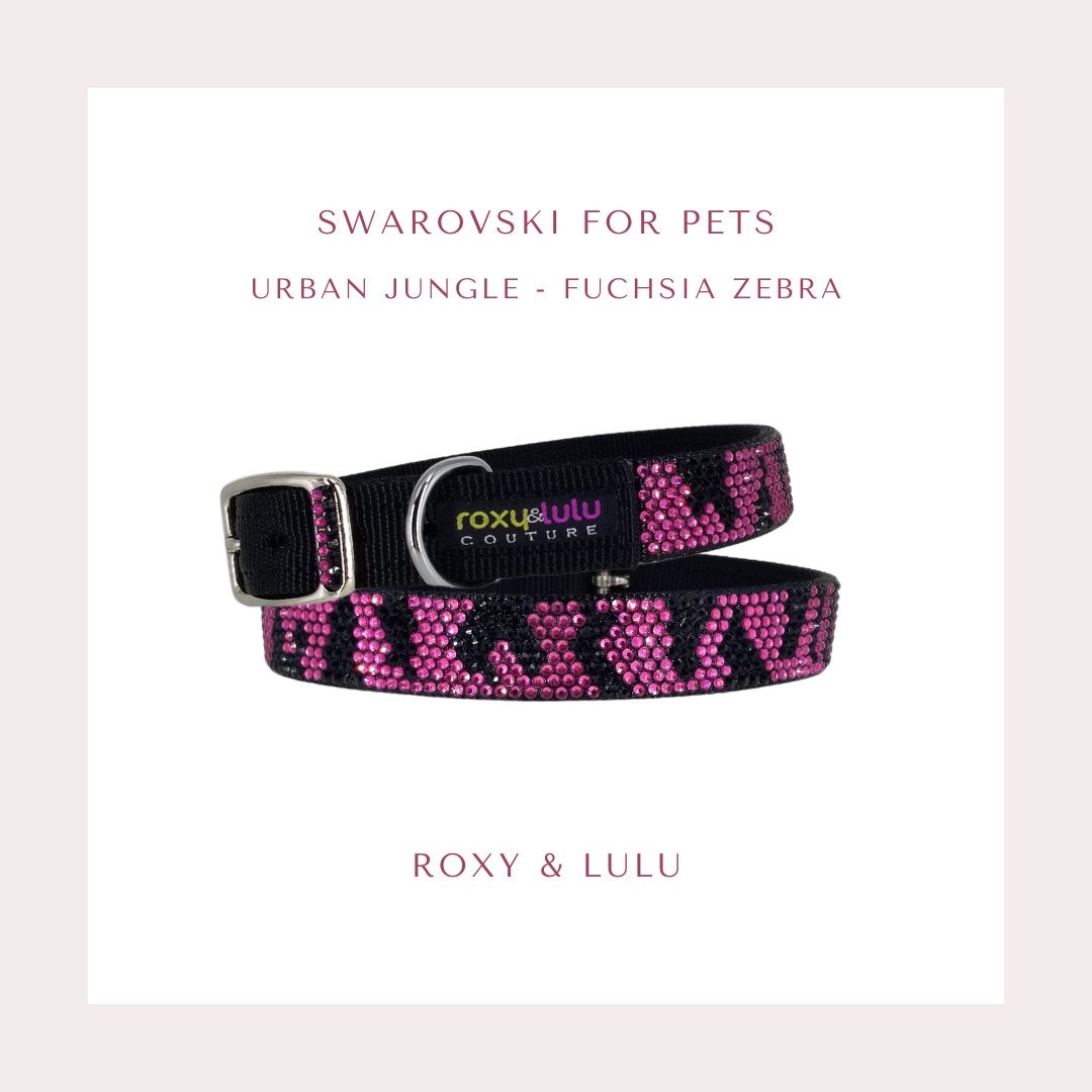 Fuchsia Zebra Crystal Dog Collar