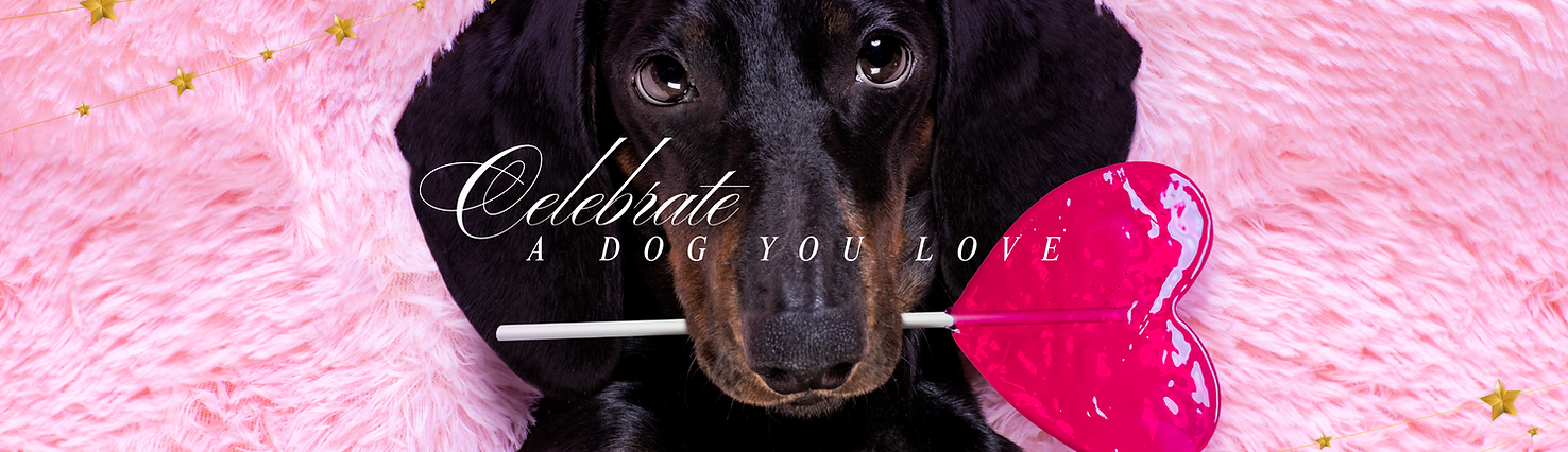 Gift card cover page.png