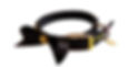 Thumbnail: Citrus Sensation Crystal Dog Collar