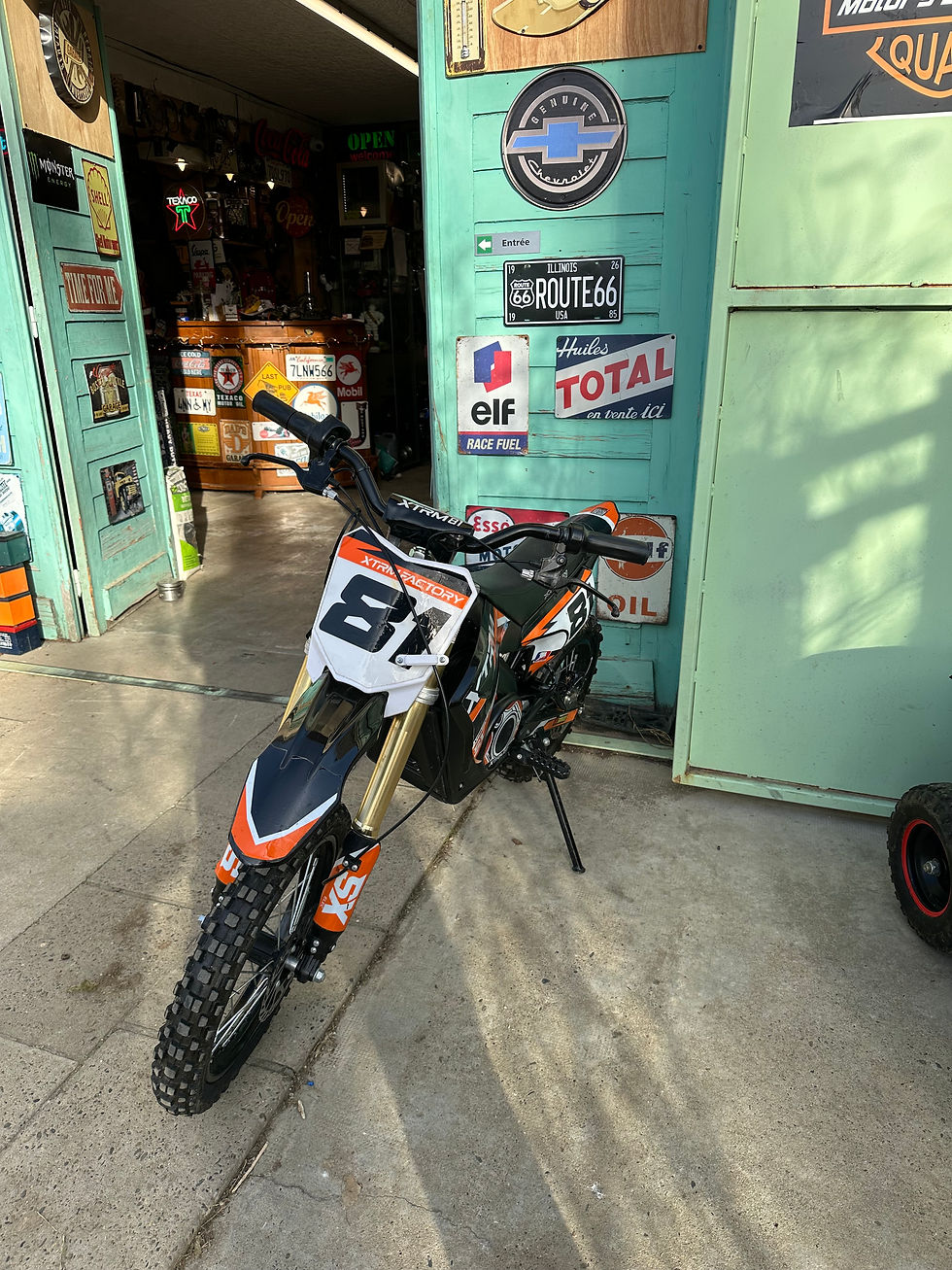 Miniature : Moto electrique sx 1300 w 48v 14/12
