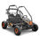 Miniature : Buggy électrique 2000W - BUGGY PANTHER