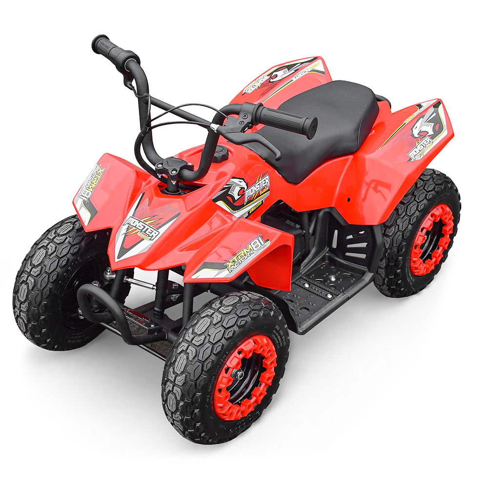 Miniature : Mini pocket quad enfant électrique 250W MONSTER QUAD