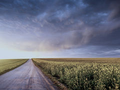 Clearing the Air: An Analysis of Weather Modification, Old and New 