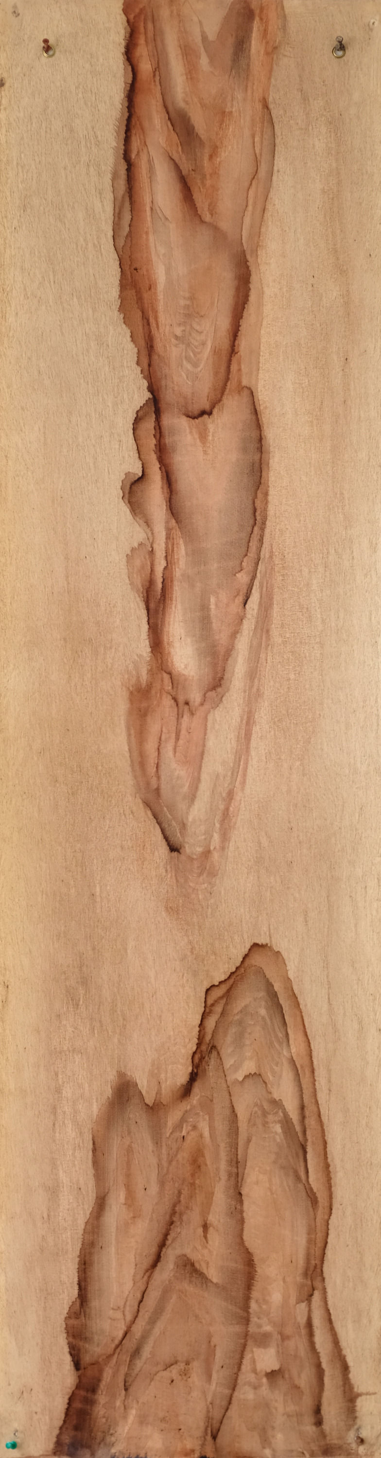Limba