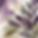 PP Social Media Graphics (2560 x 2560 px).png