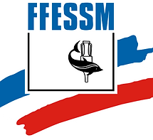 ffessm