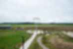 FOOD & FARM.Full Res (38 of 64).jpg