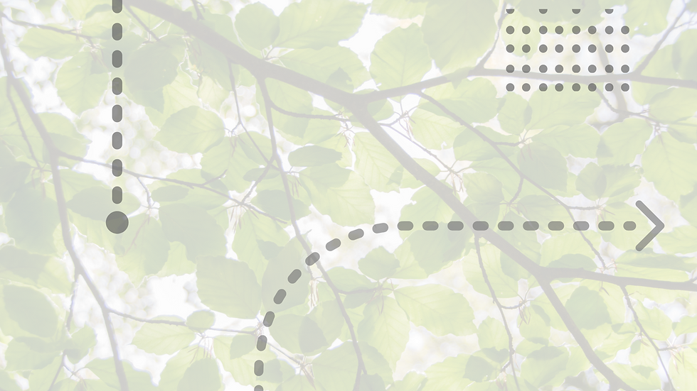 BG EEC.png