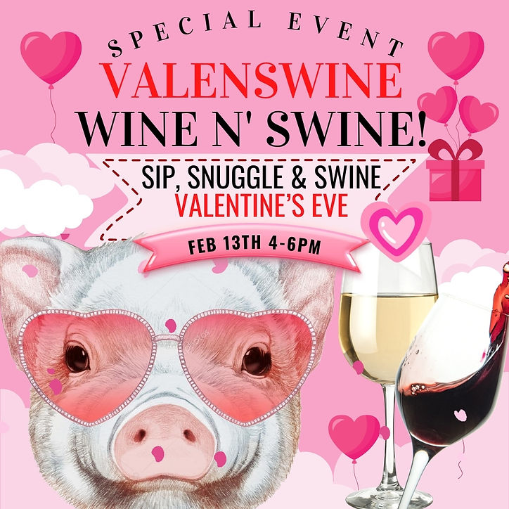 Valentine's Day Offer (3).jpg