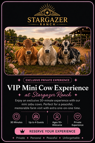 Mini Cow Experience.png