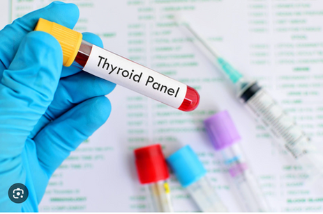 Tired, Sluggish, Over Weight, It Might Be Your ThyroidThyroid Panel