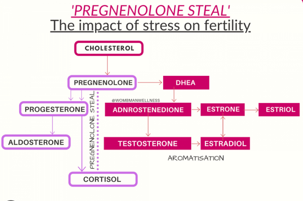 Pregnenolone Steal