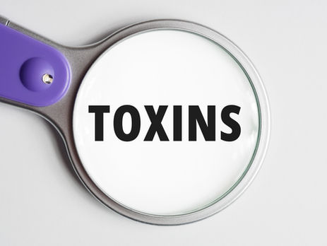 The Hidden Toxin Load and What You Can Do About It