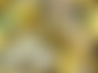 🍂 Why I’m Cooking with Delicata Squash (Even If It Still Feels Like Summer)