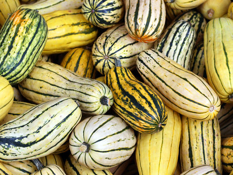 🍂 Why I’m Cooking with Delicata Squash (Even If It Still Feels Like Summer)